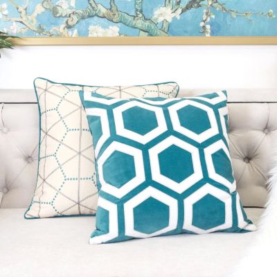 2 Pack Velvet Pillow Cover 20"x20",Geometric